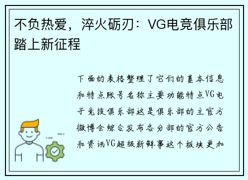 不负热爱，淬火砺刃：VG电竞俱乐部踏上新征程
